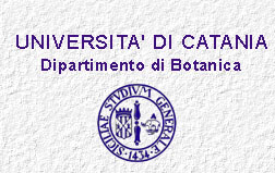 logo Universit di Catania